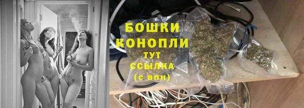 трава Балахна