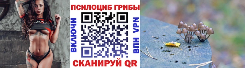 Галлюциногенные грибы Magic Shrooms  наркота  Малоархангельск 